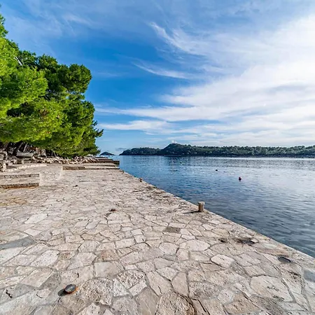 Daire Lovely In Karbuni With House Sea View *