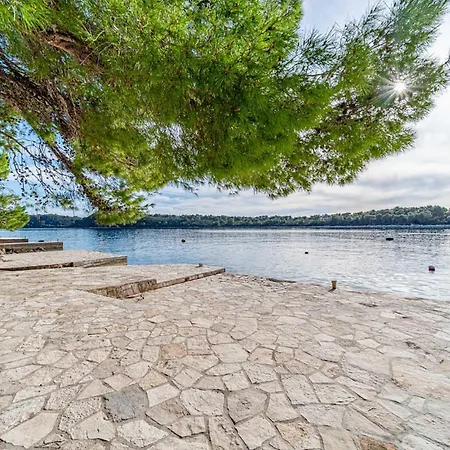 Daire Lovely In Karbuni With House Sea View